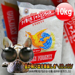 MFD2025.1.3ăbg^CY WX~ GOLDEN PHOENIX   ^C و5kg×2=10kg ̍āIE̍i