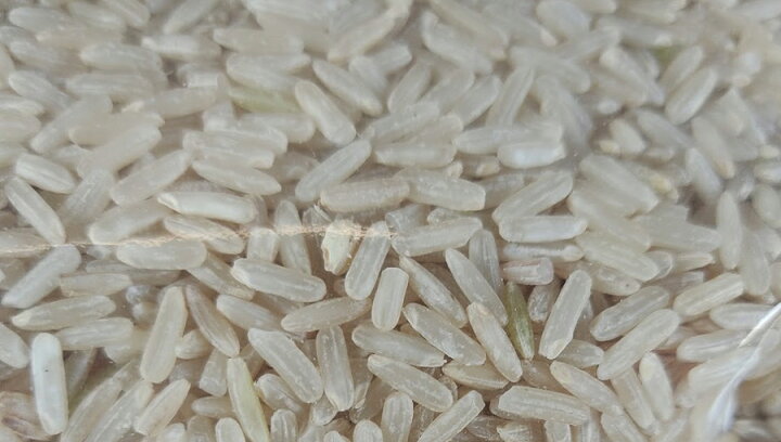楽天市場 国産 タイ米 玄米 Long Brown Rice インディカ種 農薬少なめ 10kg 弁次郎商店 楽天市場 国産 タイ米 玄米 Long Brown Rice インディカ種 農薬少なめ 10kg 弁次郎商店