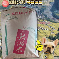 楽天市場】新米 令和6年（玄米｜米・雑穀）：食品の通販