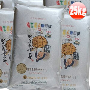 y݌vio[1ʁznꂽăsJsJIߏł̓_gc1 25kg( 5kg×5) ]ˌ