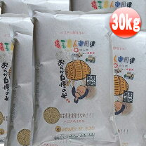 楽天市場】彩のきずな（総重量（穀物）30.0 ～ 39.9kg）の通販