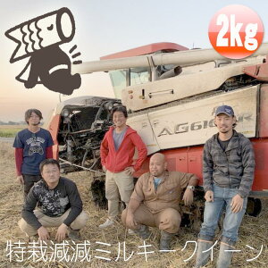 L@엿炿{Y ~L[NC[ W\[g 2kg ߘa7NYynk_fs_0629z