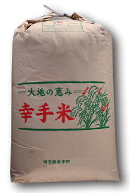 【玄米食OK】 幸手産 彩のきずな ストレート玄米 農薬超少なめ！ 令和5年産 1等 玄米 30kg