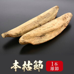 鰹節 1本の通販 価格比較 価格 Com 鰹節 1本の通販 価格比較 価格 Com