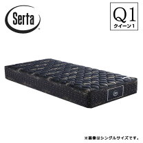 楽天市場】サータ アニバーサリー36dxの通販