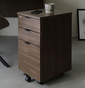 yViz@WDS-MNW(BR/NA)CS@W310×D400×H595mm Vp[eBN{[h (18 mm ) vg\@{́Fp[eBN{[h (18 mm ) vg\@ω׏d:S:20kgAV 10kg@