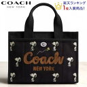 コーチ COACH x スヌーピー ピーナッツ コラボ トート バッグ ショルダーバッグ 2WAY 斜め掛け クロスボディ ブティックライン COACH 2025新作 スヌーピー プリント カーゴ トート 26 ブラック マルチ 正規品 日本未入荷