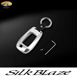 30nAt@[h/Ft@CAA~L[P[XSilkBlaze VNuCY