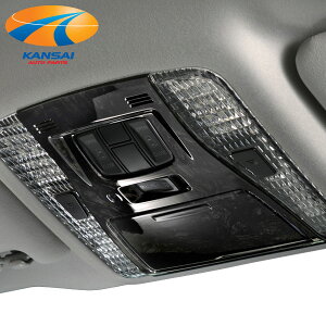 SilkBlaze VNuCY30nAt@[h/Ft@CAO[vplؖ