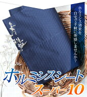 【全額返金保証・送料無料】玉川温泉岩盤浴最高放射線量を遙かに超えるホルミシスシートスーパー10【バド…