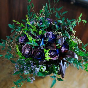 yt[Xg@^z ԃAWgEu[PEt[P[L t[A[eBXgi oƃO[ y017za@\@j@ԑ