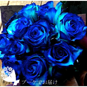 yt[Xg@^zԃAWgEu[PEt[P[L t[A[eBXgi ԂAWg 4FOf[Vo10{gpłI y008za@