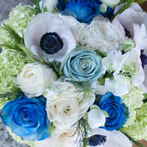 gݍ킹R̃J[ AWg yt[Xg@^z t[A[eBXgi oEJ[l[VEK[xȂ a \ j ԑ