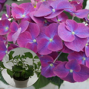 @N]@󏭂c@2N@yN]c؁z@5@@AWTC@zԁ@ԔA@ԁ@@Ɖ|@i^OtKi