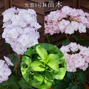 @_@󏭂c@2Nځy_c؁z@5@@AWTC@zԁ@ԔA@ԁ@@Ɖ|@^OtKi