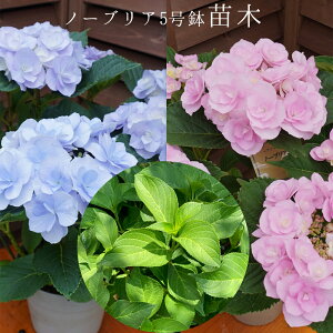 @m[uA@󏭂c@2Nځym[uAc؁z@5@@AWTC@zԁ@ԔA@ԁ@@Ɖ|@^OtKi