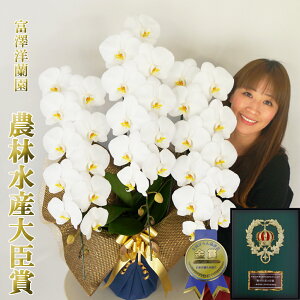 傫Ӓ j Mtg JXj 3{ 38ֈȏ(Q܂)@R`E yxVmz _ѐYb܁@ܐY  ԔA    v[g Qn̔ 