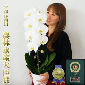 傫Ӓ j Mtg JXj 1{ 8ֈȏ(Q܂)@R`E yxVmz _ѐYb܁@ܐY  ԔA    v[g Qn̔ 