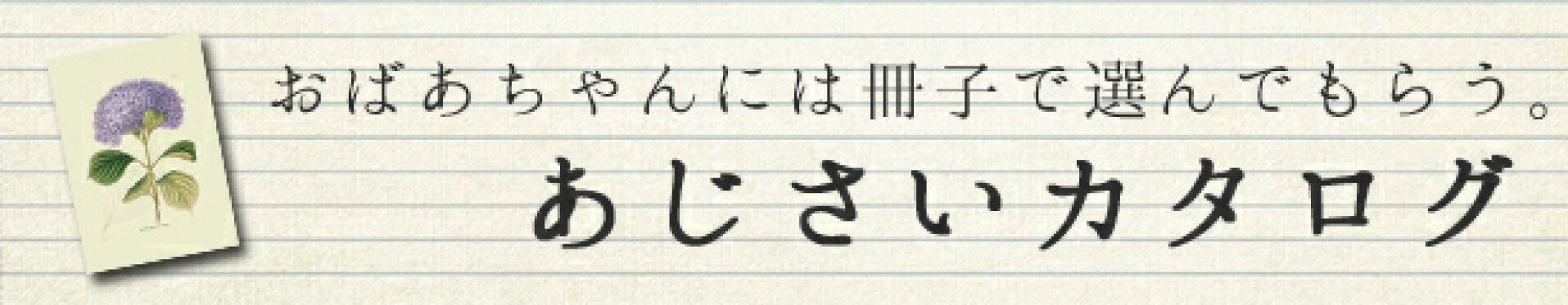 あじさいカタログ