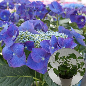 @iC`Q[@󏭂c@2N@yiC`Q[c؁z@5@@AWTC@zԁ@ԔA@ԁ@@ԁ@Ɖ|@i^OtKi