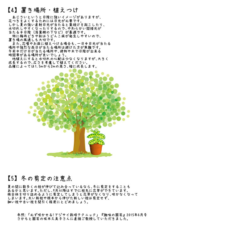 楽天市場 植え替え応援 青培養土 青色あじさいの土 あじさい育種のオーソリティー さかもと園芸の 達人のあじさい 青色あじさいの土 ５リットル 培養 土 群馬の鉢花ギフト カオプストア