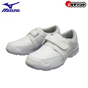 i[XV[Y ~Ym MIZUNOGAtH[g Xj[J[ V[Y C L 3E   [LOV[Y ƌC  Ȃ