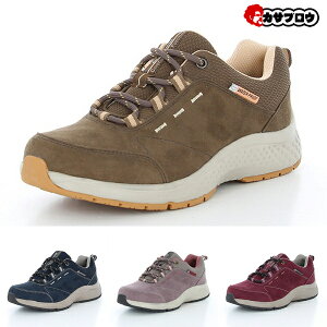 fB[X VjA hXj[J[ SPLT L172 TvXg XG[h[X^[ RۖhL  4E [q[ JWA [XAbv  i nCLO U EH[LO JC 