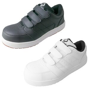 SC Z[teB[V[Y c FUJITE xm܍H 53-70 SXj[J[ Ȃ