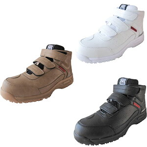 SC Z[teB[V[Y c FUJITE xm܍H 66-45 [g66 Z[teBXj[J[ Ȃ