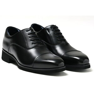 �y5%OFF�N�[�|��/��������A�g�p�����L�z KENFORD �P���t�H�[�h �����Y �a�m�C KP02 �X�g���[�g�`�b�v