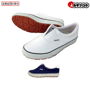 y5%OFFN[|/AgpLz Xb| Xj[J[ [NV[Y 쑽 JbNX DK300  n lCr[ zCg   E₷ A^Cv a