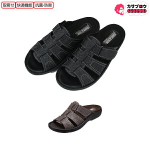 y5%OFFN[|/AgpLz ItBXT_ fB[X Pansy YRtH[gT_ 9045 pW[ y K Vv ɂȂ Ȃ  41mm q[ ₷