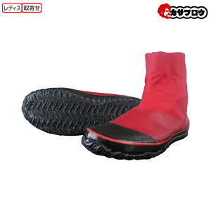 y3%OFFN[|/AgpLz   iS ͂ #708 \t NbV }WbN^Cv ENN fB[X  _ _ n |pC K[fj