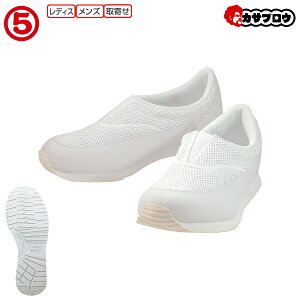 i[XV[Y ƌC [NV[Y ی Y fB[X jZbNX Ód ArJ880 Ód ÓdC dq dq@ ѓd h~ ʋC ʋC y y Ȃ ₷ jp 
