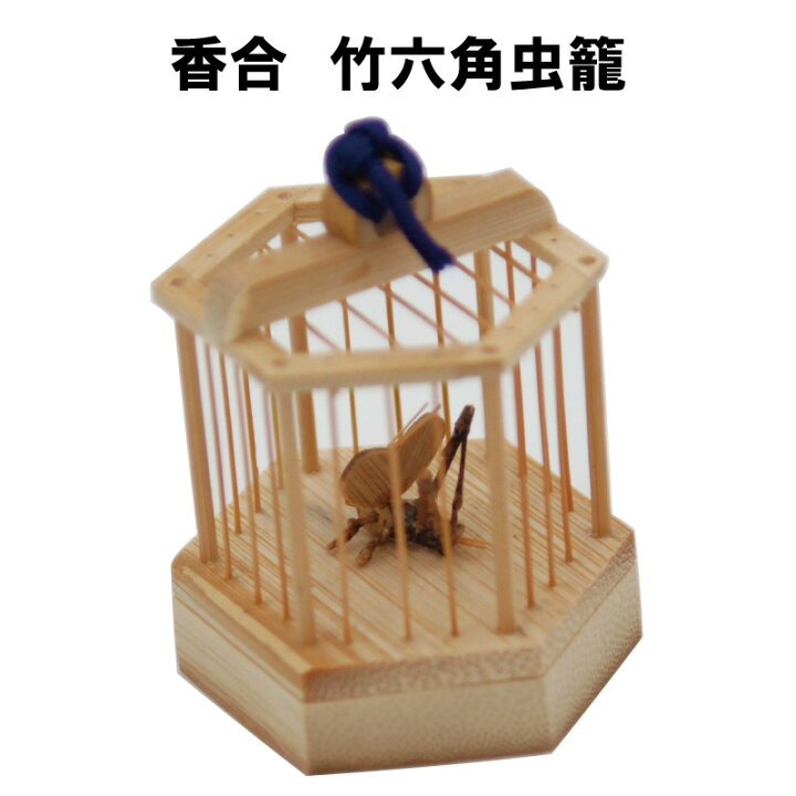 楽天市場】茶道具 香合 こうごう 竹六角 虫籠 鈴虫 むしかご すずむし 
