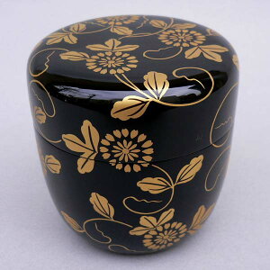   Ȃ e垥 WX֍D yz     D {c@i