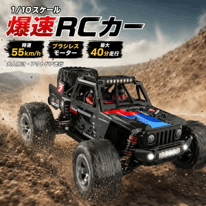 DEERC ���W�R�� �I�t���[�h ���W�R���J�[ ��l���� ���� �������W�R���J�[ �� rc car �����R���J�[ ����55km/h ��^ 1/10�X�P�[�� �u���V���X���[�^�[ 3S�o�b�e���[ �h�U �l�֋쓮 �[�d�� �a���� �v