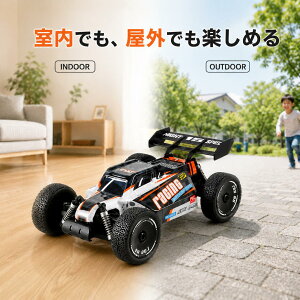 DEERC ���W�R���J�[ �q������ 1/16 �I�t���[�h RC�J�[ �X�v���[ LED���C�g 2.4GHz 60�����s �v���[���g