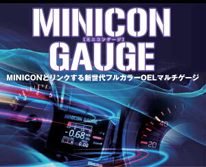 MINICONQ[W@VGN@{̃n[lXZbg