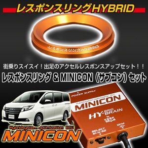 g^ mAnCubh80n X|XOHYBRIDMINICONZbg L[vX}CJpj[