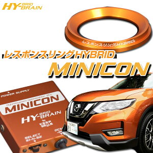 GNXgCH(N)T32 HYBRAIN X|XOHYBRIDMINICONZbg jbT p[c