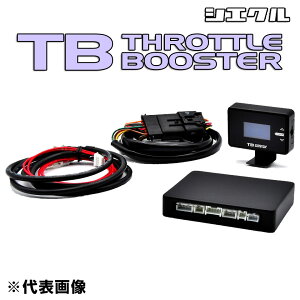 NTX CT200h pXbgRg[[@siecleiVGNj V^ THROTTLE BOOSTER iXbgu[X^[jn[lXZbg p[c