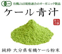 純国産大分県産有機JASオーガニックケール青汁粉末100g×5個【無添加・無農薬】野菜の王様!!栄養豊富なケールの青汁