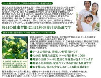 純国産大分県産有機JASオーガニックケール青汁粉末100g×5個【無添加・無農薬】野菜の王様!!栄養豊富なケールの青汁