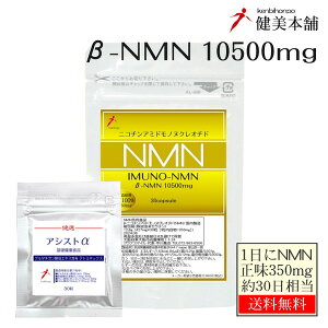 イムノ NMN 1日 350mg×30カプセル 日本製品 NMN 10500mg 含有 国内製造原料使用 β-ニコチンアミドモノヌクレオチド ※アシストアルファ プレゼント 送料無料