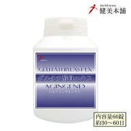 健康・美容・エイジングを担う 基礎健康食品 AGINGEND 酵母エキス含有食品 420mg×60カプセル 約30～60日…