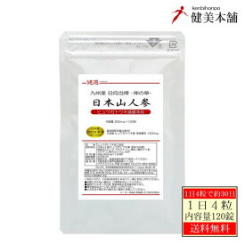 新発売 九州産 日本山人参粒 -日本日向当帰粒- 300mg×120粒 ヒュウガトウキ粒 1日に日本山人参 1000mg摂取で30日相当 メール便送料無料