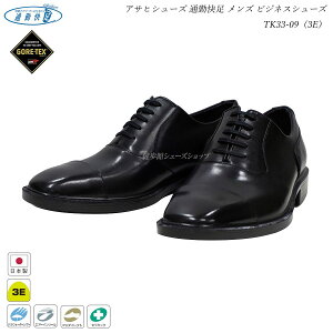 ATq ʋΉ Y rWlXV[Y TK33-09 ubN AM33091 TK3309