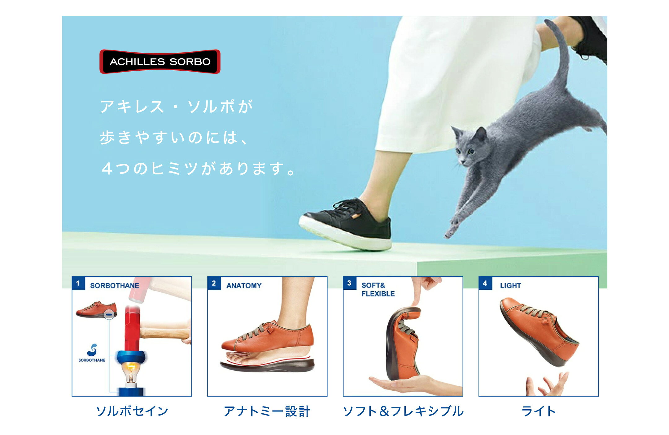 アキレスソルボ