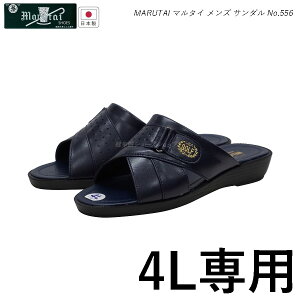 }^C Y T_ am wbv MARUTAI 556i4Lpj3E Z { ۑ 傫TCY